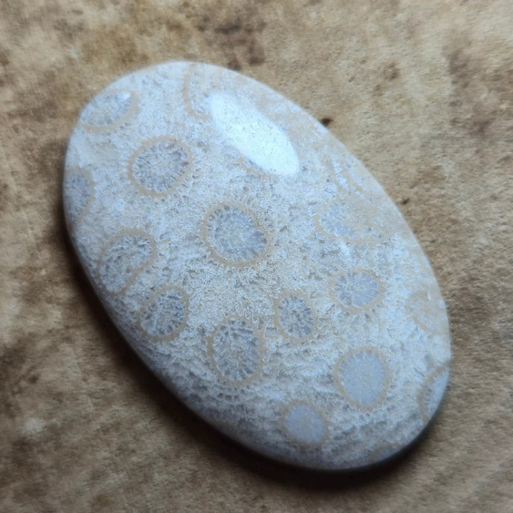 نگین مرجان سایز بزرگ طبیعی درجه 1