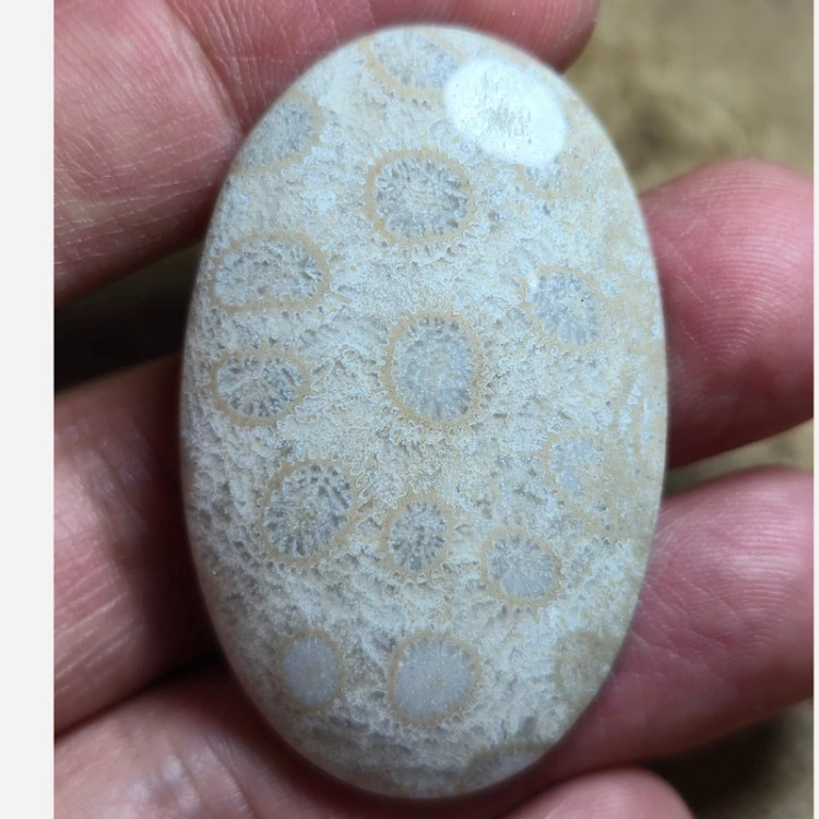نگین مرجان سایز بزرگ طبیعی درجه 1