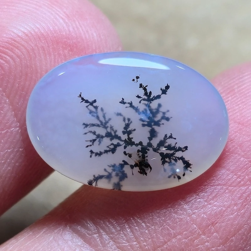 تصویر شجر قائن. 