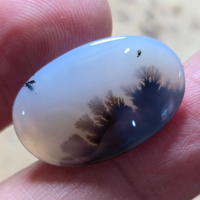 تصویر شجر قائن منظره 