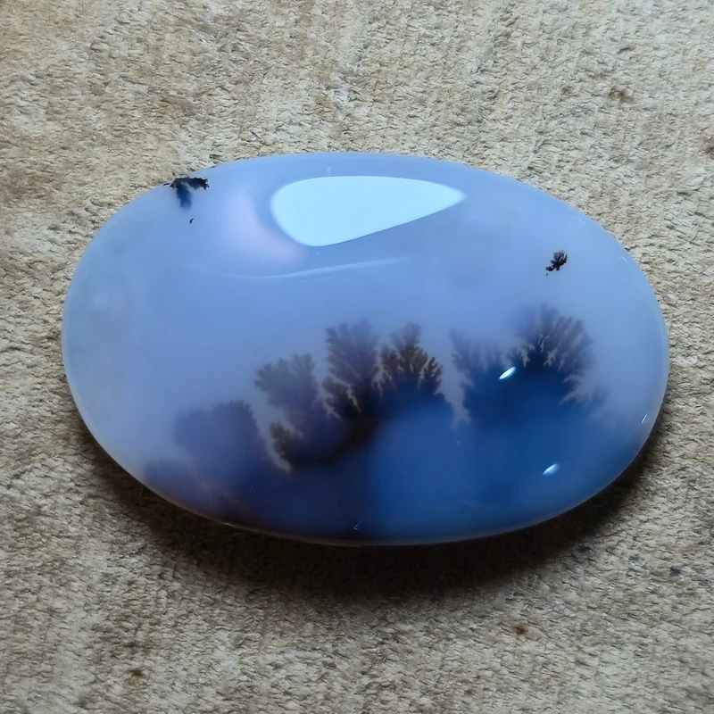 تصویر شجر قائن منظره 