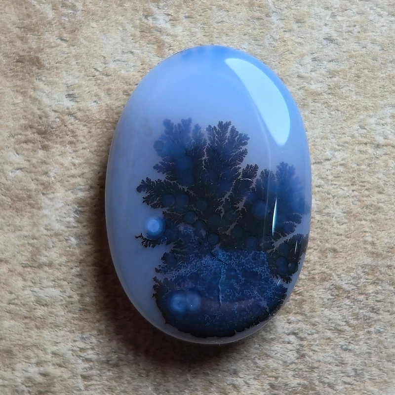 تصویر شجر قائن گل مشکی 