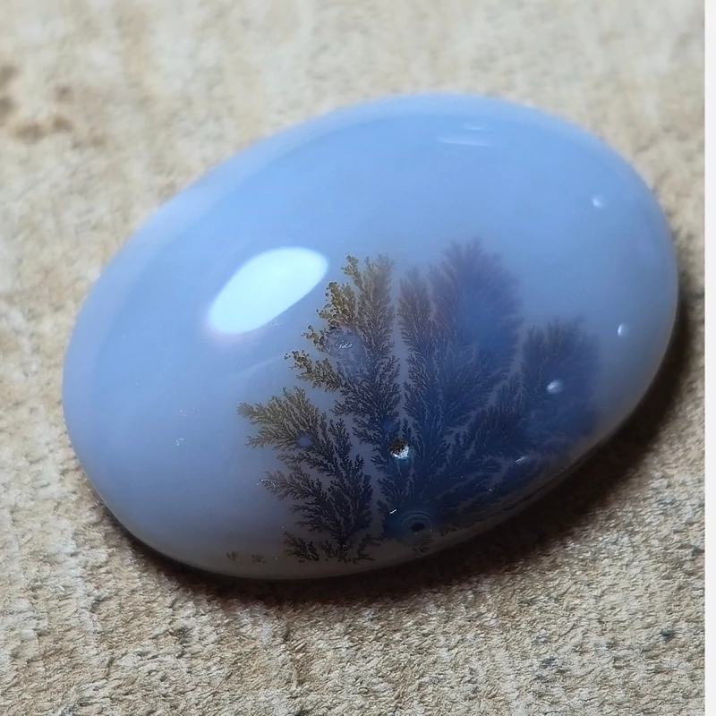 تصویر شجر قائنات 