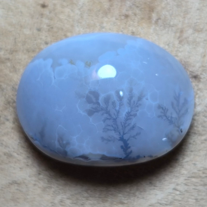 تصویر شجر قائن قواره دار 