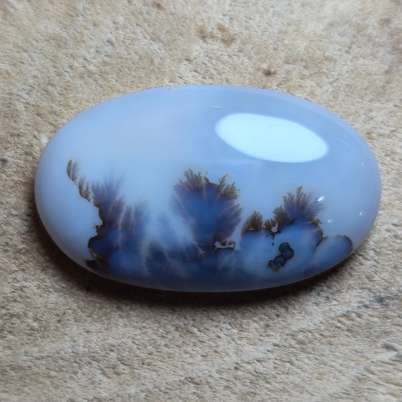 تصویر شجر قائن 