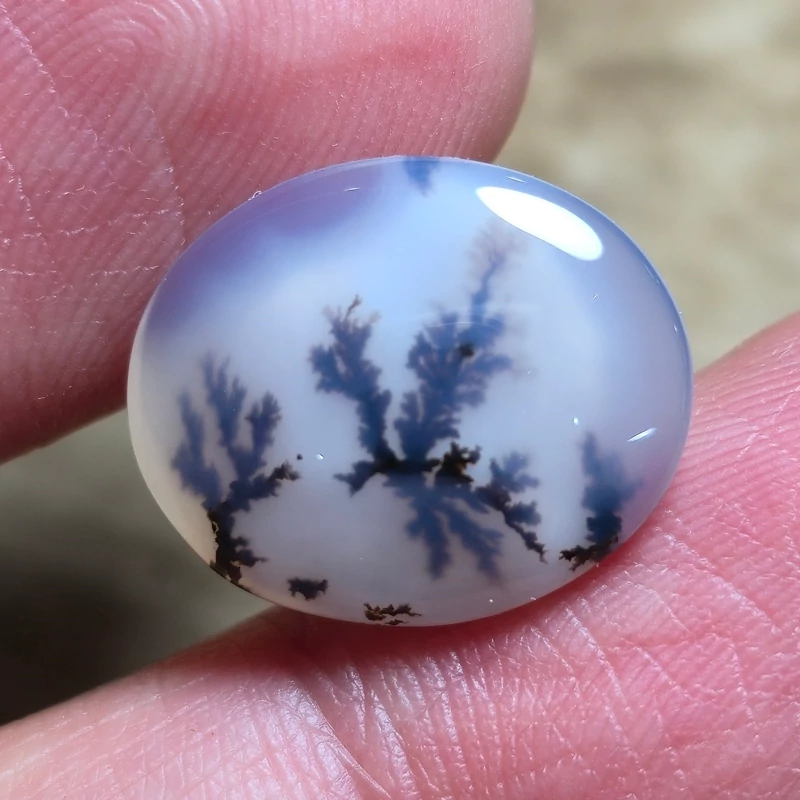 تصویر شجر قائن خاص زیبا 