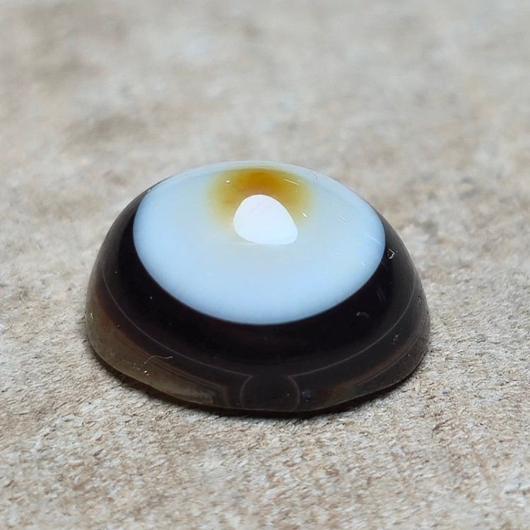 باباقوری تک چشم.