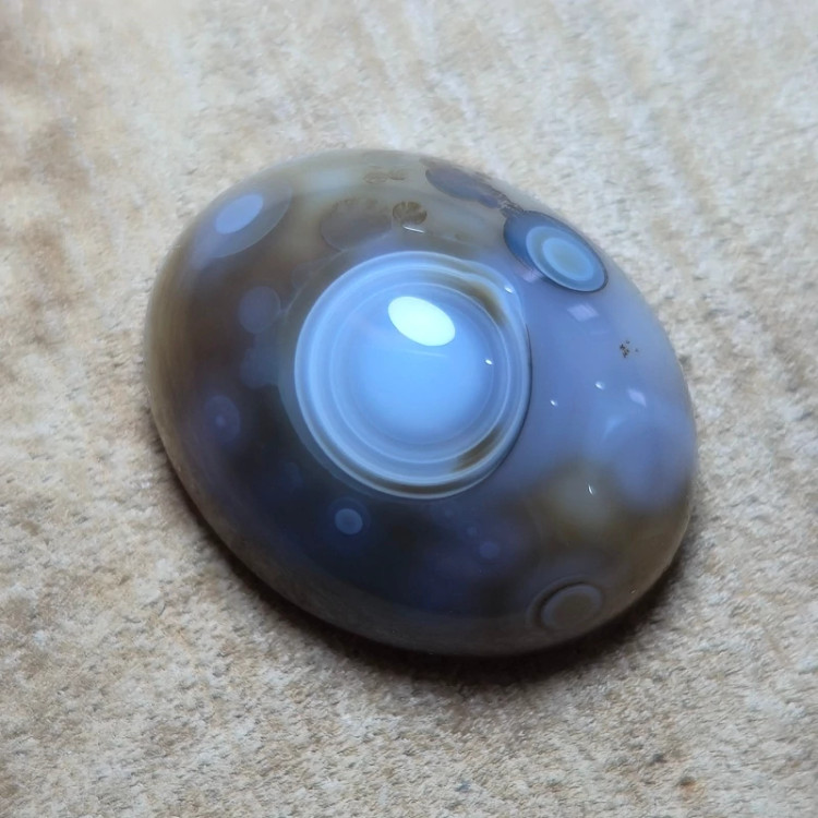 باباقوری قائن قواره دار.